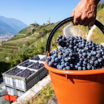 Sostenibilità