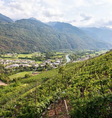 Terroir Nera