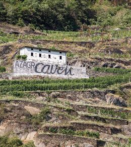 Nera Vini
