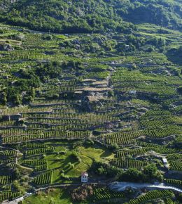 Terroir Nera