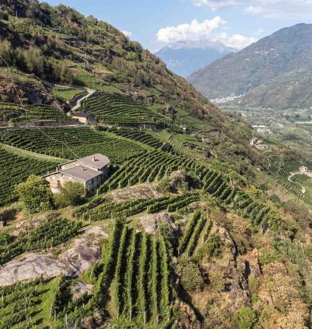 Territorio Caven