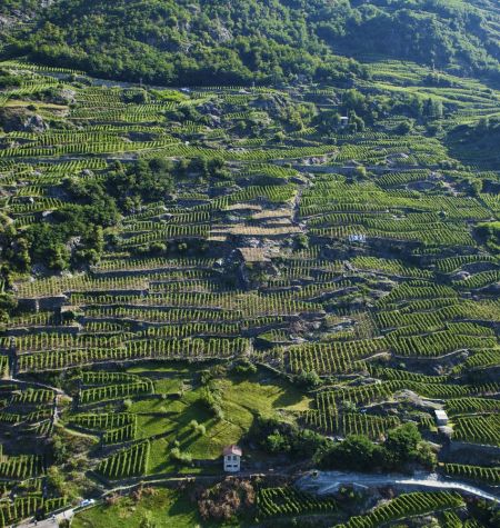 Terroir Nera