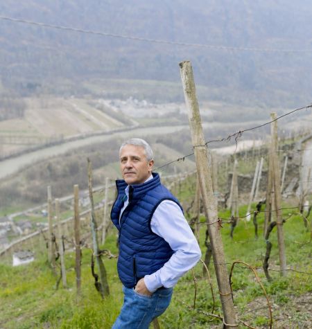Winemaker Nera