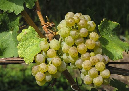 Incrocio Manzoni