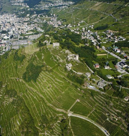 Terroir
