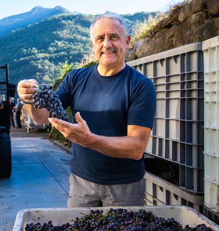 Winemaker Nera