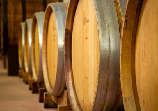 Trasferta USA delle cantine Nera e Caven