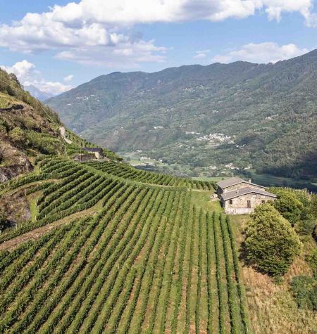Territorio Caven